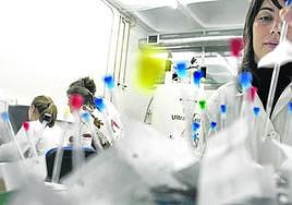 Ikerbasque recibe 4 millones de euros para contratar investigadores
