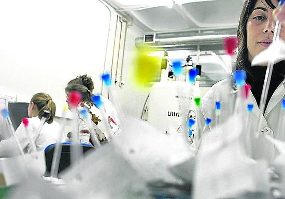 Ikerbasque recibe 4 millones de euros para contratar investigadores