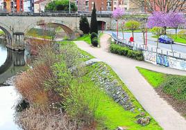 Las zonas verdes de los paseos de la ribera del Ebro se atienden con personal municipal.