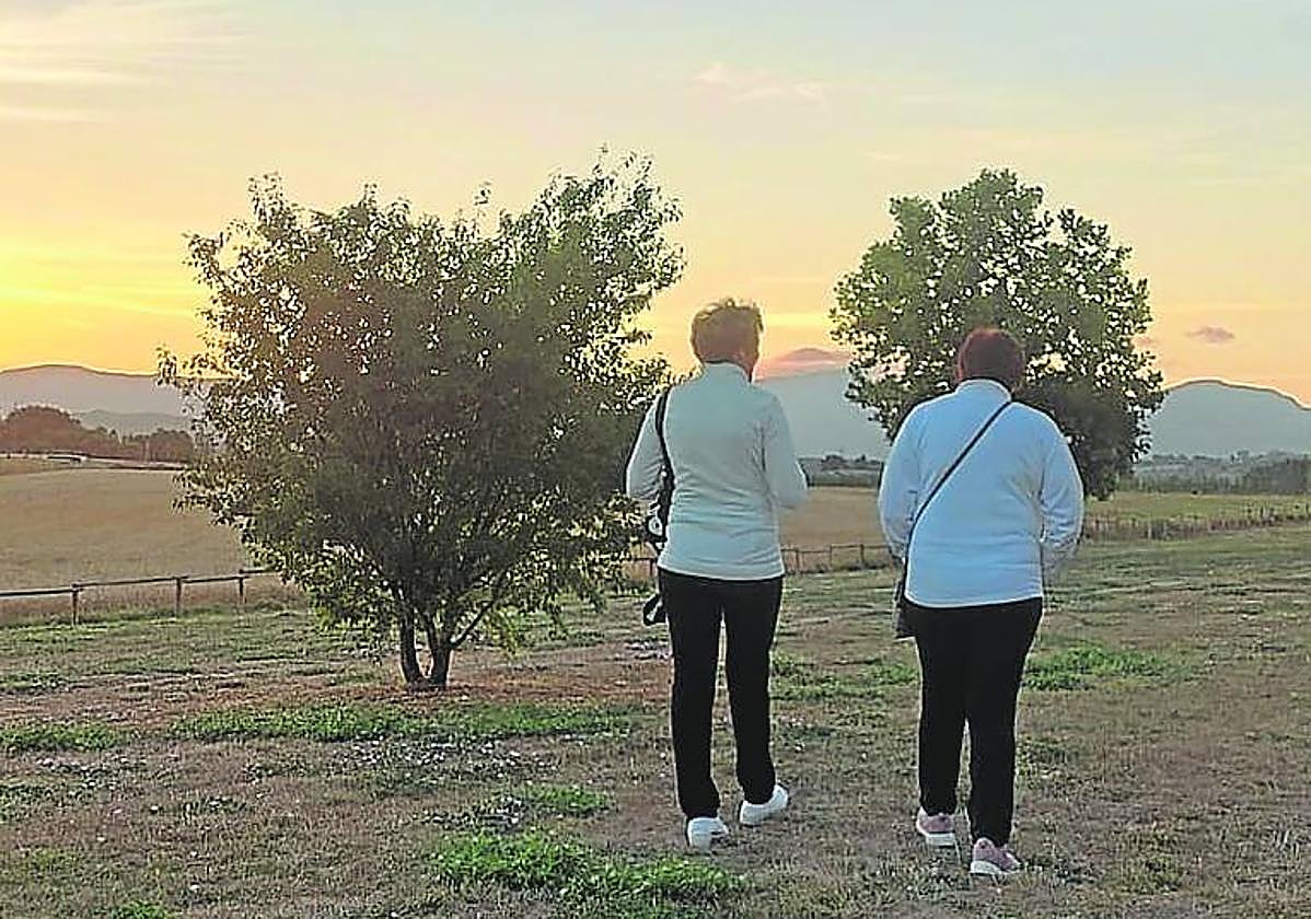 La actuación se ejecutó en 2019.