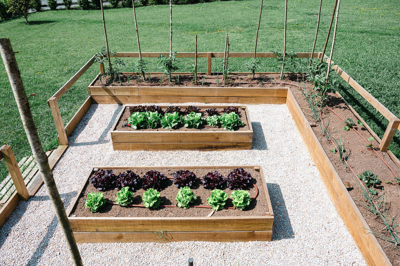 Huerto ecológico, en el jardín.