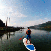 ¡Al agua patos! El chapuzón espera