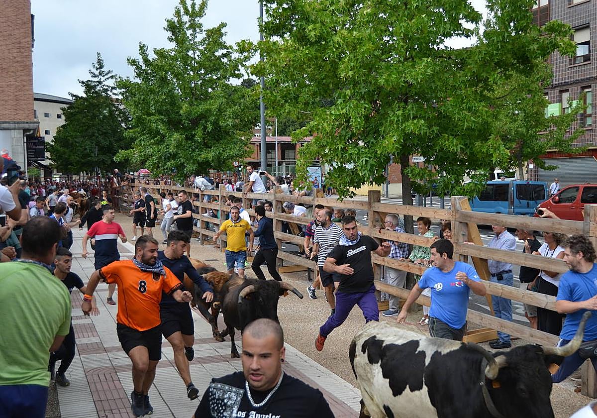 Los encierros han vuelto a ser uno de los grandes atractivos del día. Mañana se repetirán a las mismas horas.