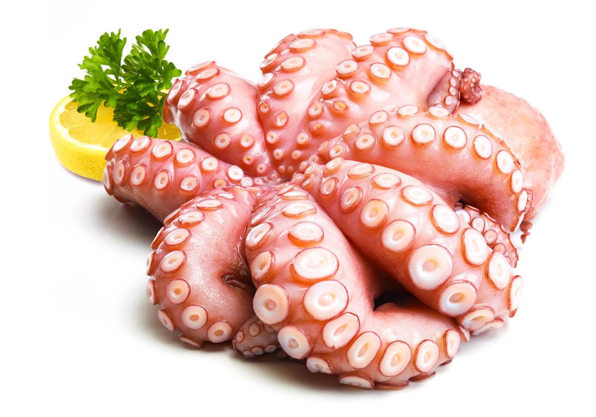 Pulpo, largos tentáculos de Omega 3 | El Correo