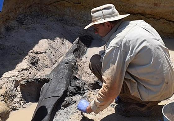 El equipo de excavación descubriendo la estructura de madera.