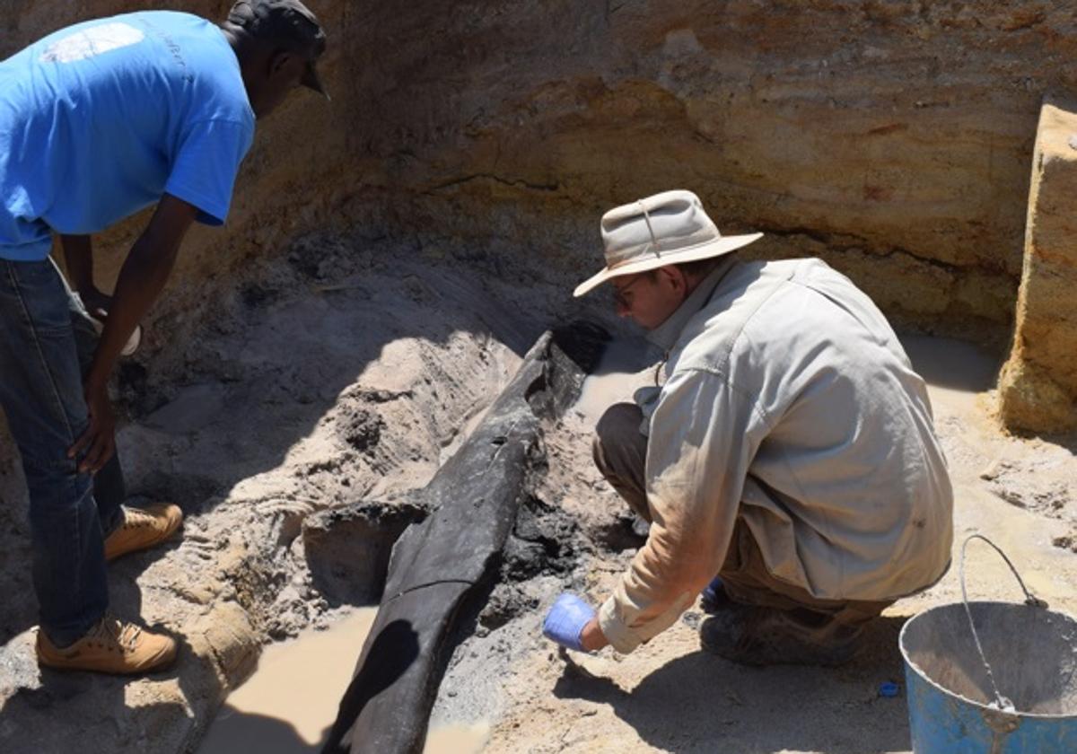 El equipo de excavación descubriendo la estructura de madera.