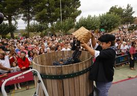 Cientos de personas se acercaron a Navaridas para disfrutar de la gran fiesta del vino en Álava.