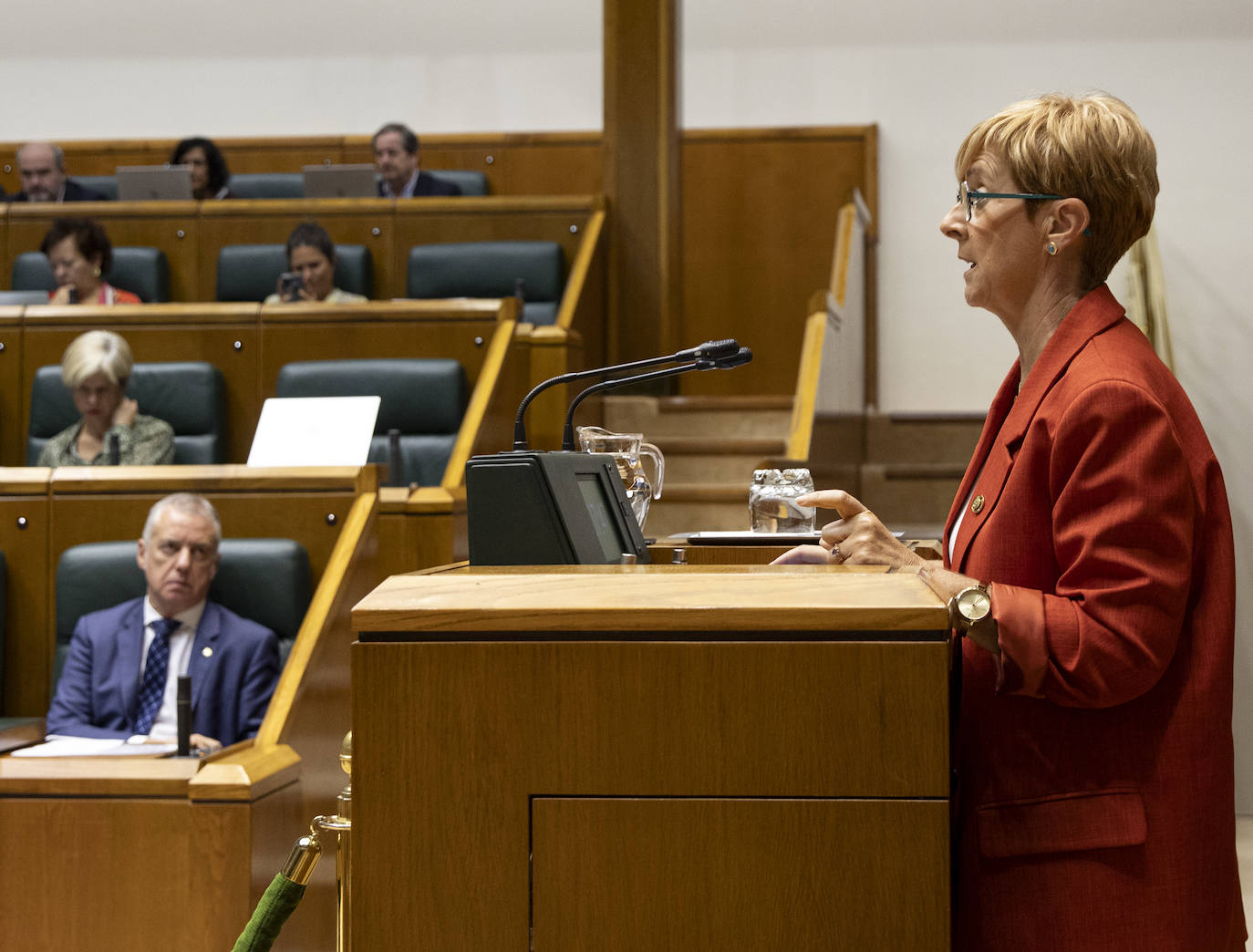 Arantxa Tapia durante su intervención hoy en el Parlamento de Vitoria.