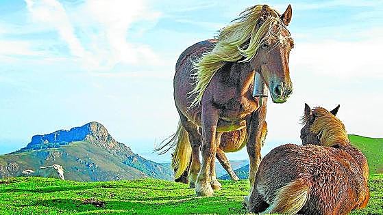 Cencerros y dólmenes entre Gipuzkoa y Navarra