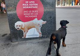 El censo de ADN canino pretende evitar que se dejen las heces en la calle.