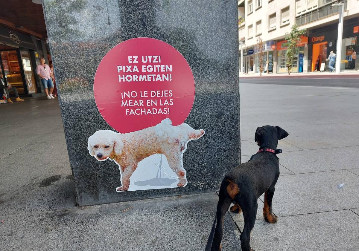 El censo de ADN canino pretende evitar que se dejen las heces en la calle.