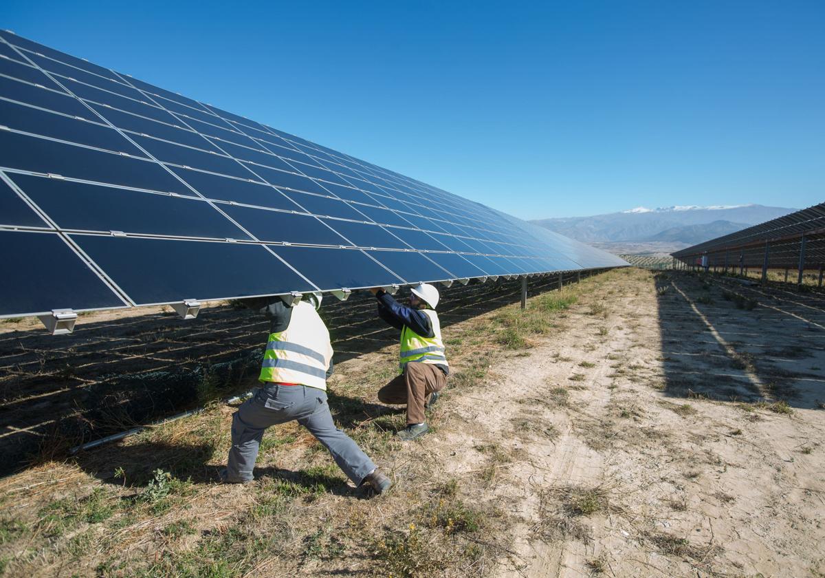 Técnicos proceden a la instalación de los grandes paneles para la producción de energía fotovoltaica