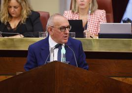 Ramiro González, durante su intervención en el pleno.