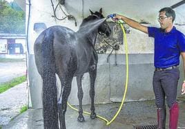 Andoni Fuentes ducha a uno de los caballos de la hípica que tiene en Okondo tras elejercicio.
