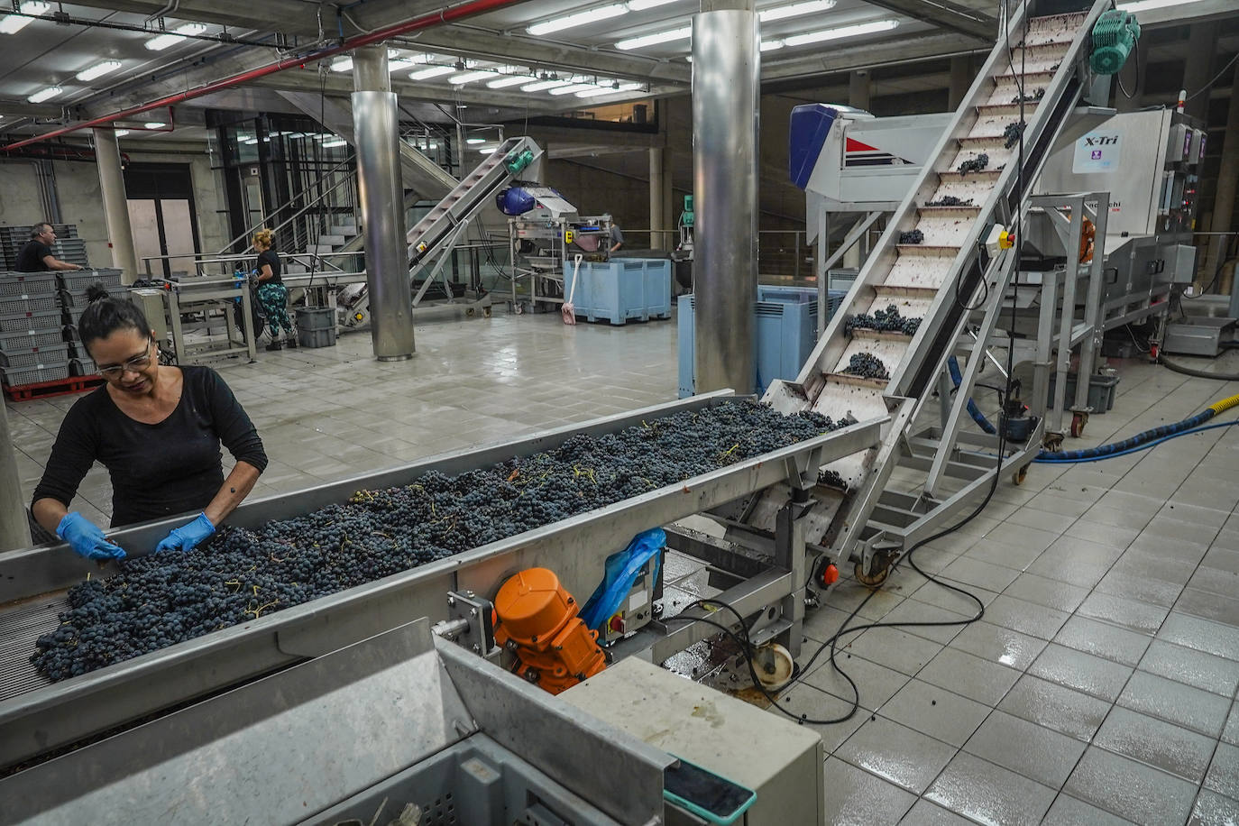 Imagen secundaria 2 - Arriba, Laura, química, toma muestras de las uvas que llegan en las cajas a la recepción. Debajo, la bodega, con los depósitos de forma de cono truncado de refulgente acero. El espacio, de puro hormigón, recuerda a un hangar de sondas espaciales. 