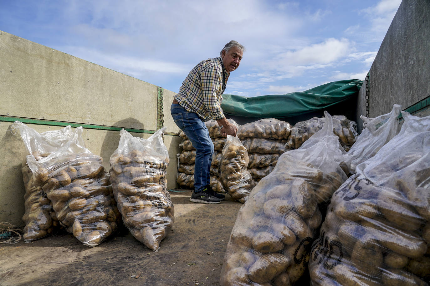 La Feria de la Patata de Valdegovía, en imágenes