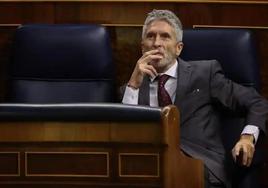 Fernando Grande-Marlaska, durante un pleno en el Congreso.