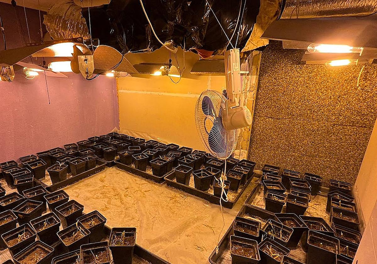 La Ertzaintza culmina con un arresto en Trapagaran una operación contra el tráfico de drogas