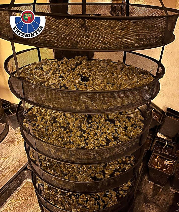 Imagen secundaria 2 - La Ertzaintza culmina con un arresto en Trapagaran una operación contra el tráfico de drogas