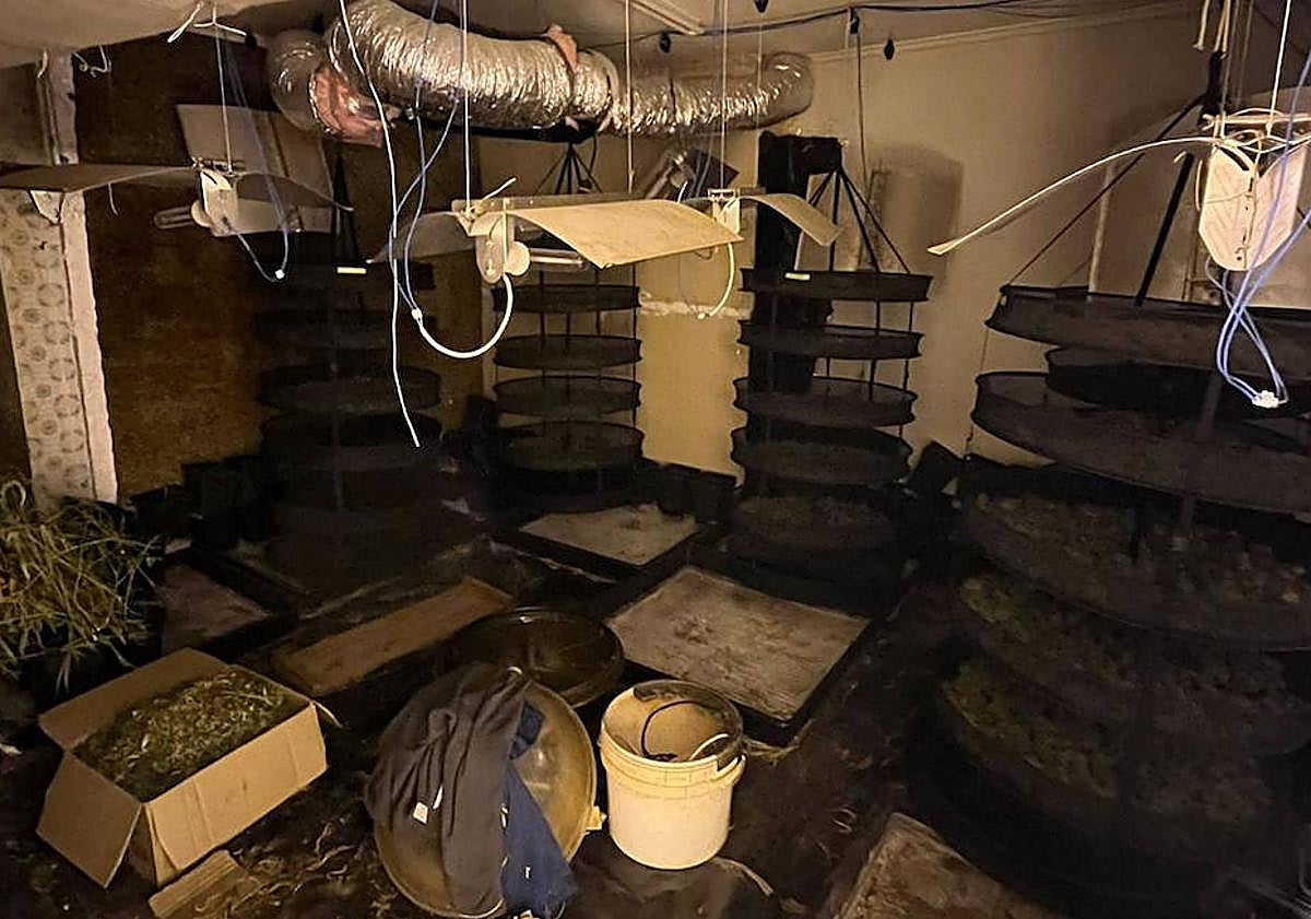 Imagen principal - La Ertzaintza culmina con un arresto en Trapagaran una operación contra el tráfico de drogas