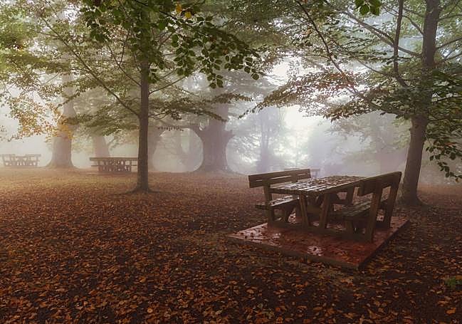 Alfombra de hojas secas en Jugatxi.