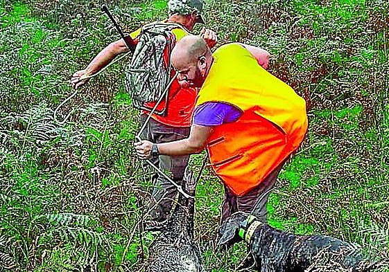Dos cazadores abaten un jabalí en el nuevo coto de Orozko.