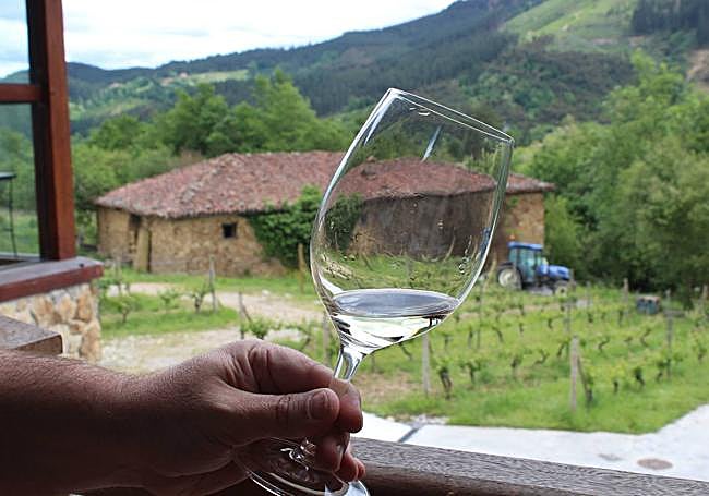 Bodegas Astobiza, en Okondo.