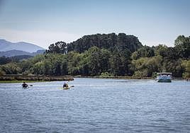 Zona donde se ubicará el futuro Guggenheim Urdaibai.
