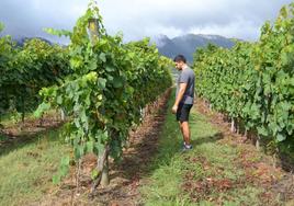 Aiaraldea, ruta para comer, beber y aprender cultura