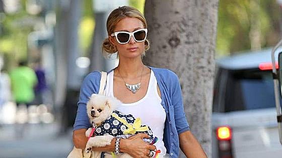 Paris Hilton anuncia que será madre de nuevo por gestación subrogada