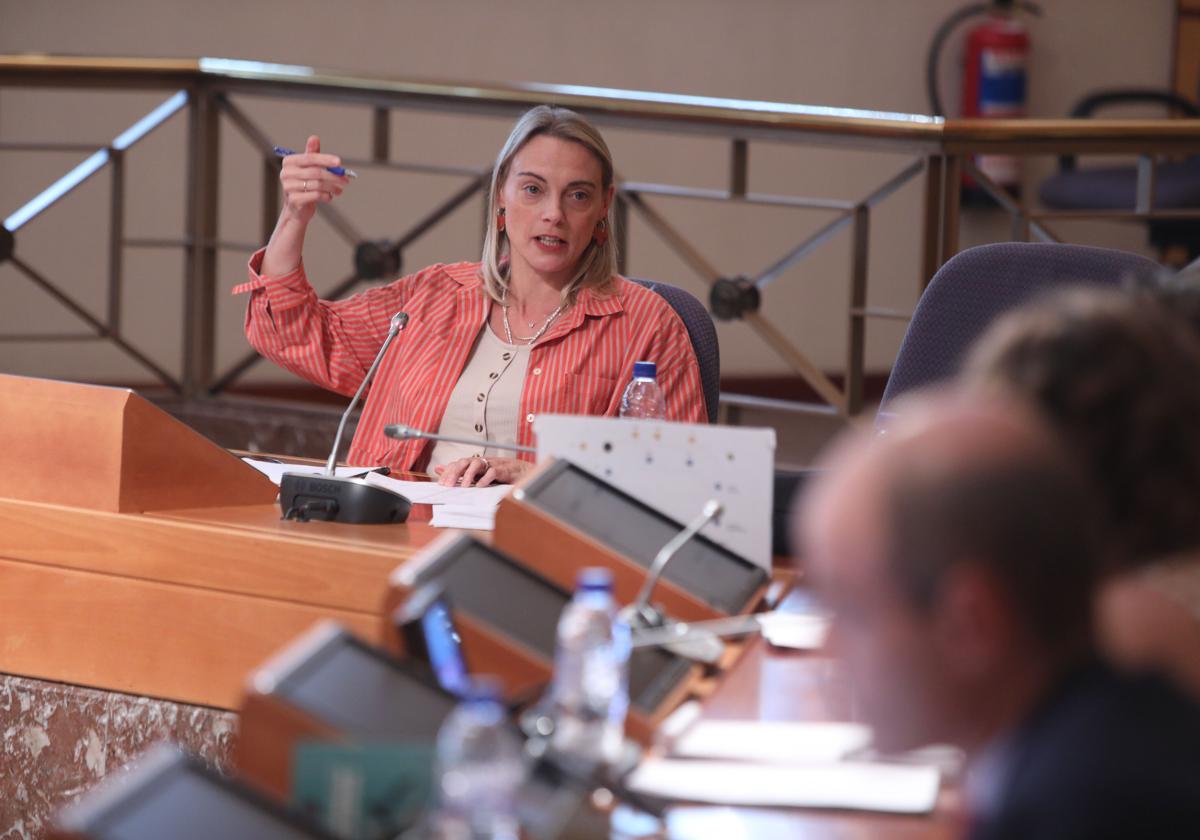 Raquel Gonzalez, portavoz del PP, durante un pleno de las Juntas Generales