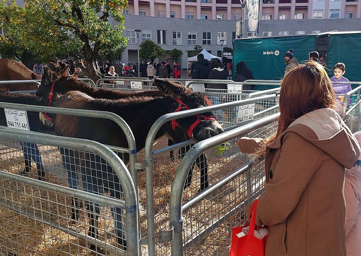 Imagen secundaria 1 - La inflación golpea al sector agrícola y ganadero: «A corto plazo no vamos a aguantar»