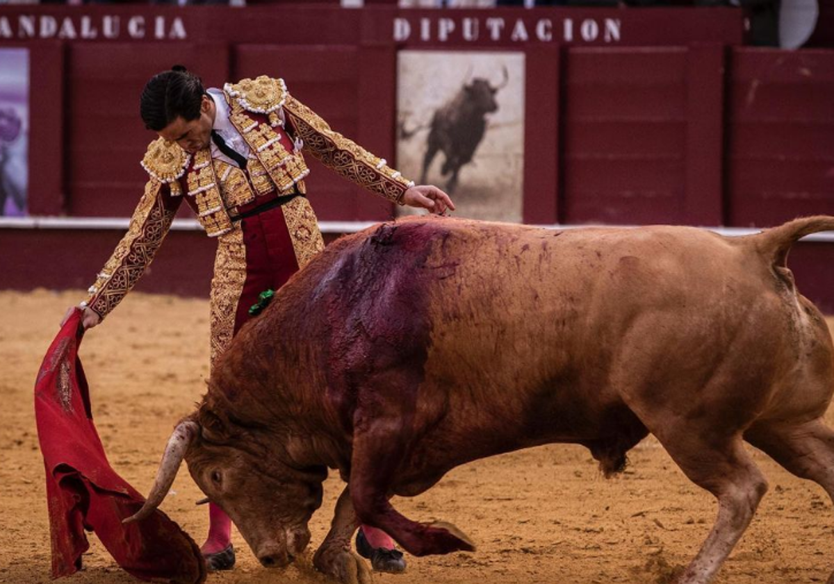 Imagen principal - ¿Quién es Juan Ortega, el torero del que todo el mundo habla?