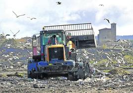 Un vehículo pesado trabaja rodeado de gaviotas en el vertedero de Gardelegi.