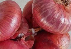 Cebolla roja: