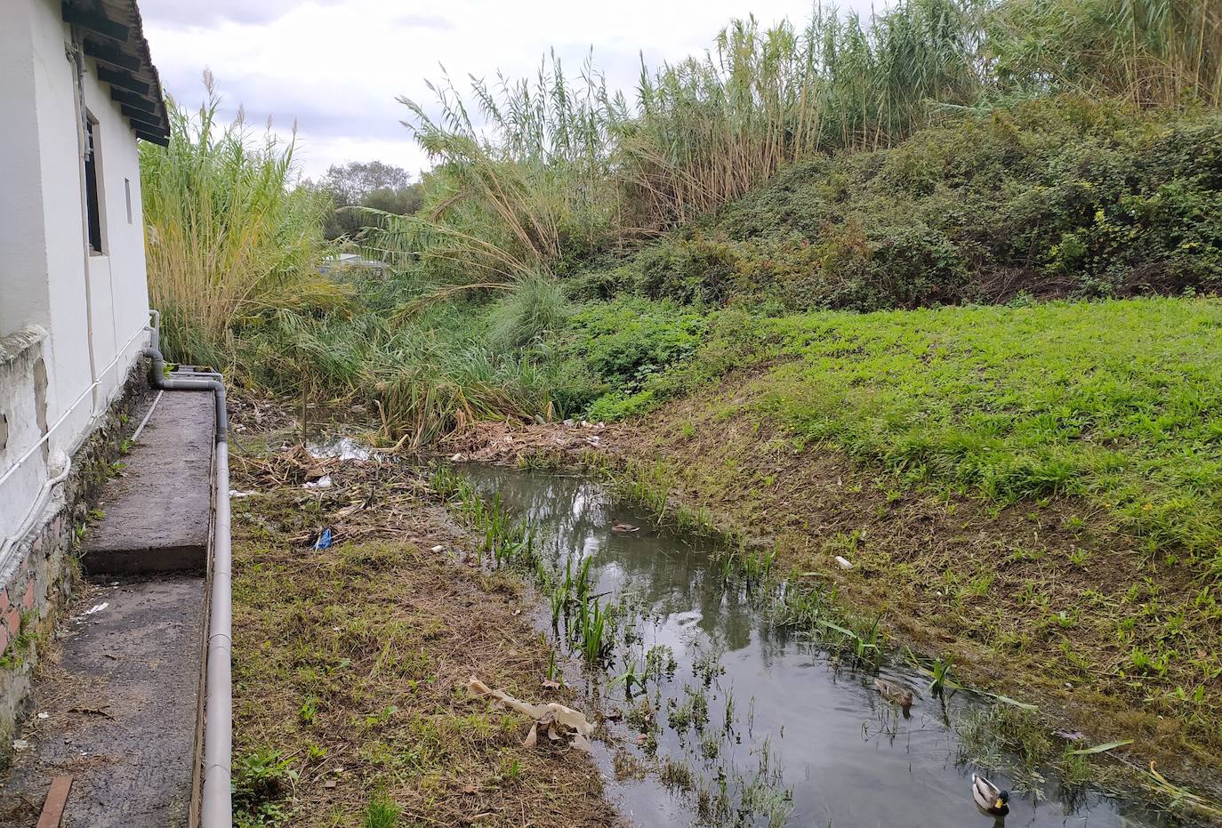 El proyecto actuará también en el río Gobela en su paso por el molino de Errotatxu.