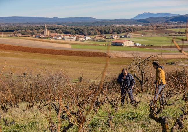 Jesús María Ganuza y Saúl Gil Berzal en el teso donde el padre del primero plantó las viñas que han dado lugar al primer vino embotellado en la Montaña Alavesa.