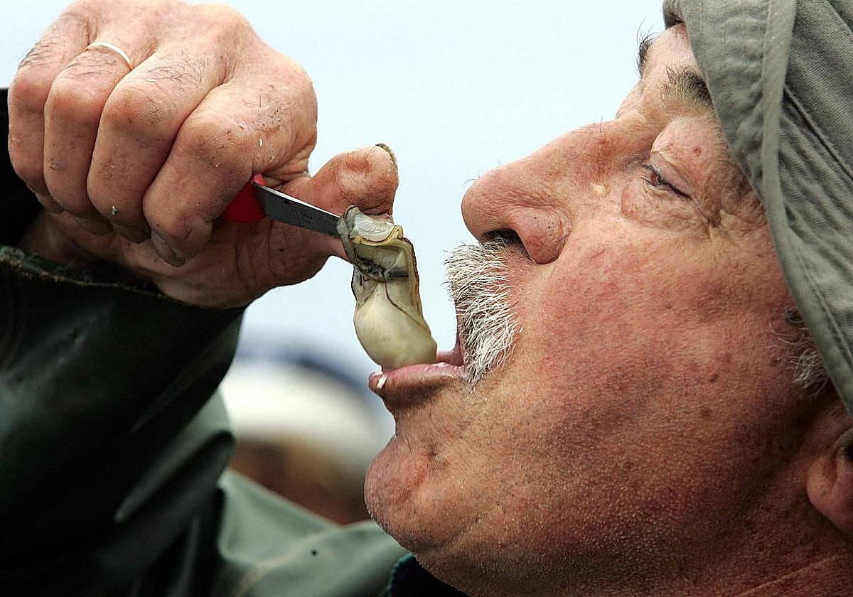 Francia prohíbe las populares ostras de Arcachon