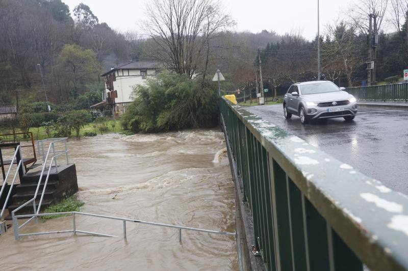 El río Asua a su paso por Sangroniz, Sondika. 