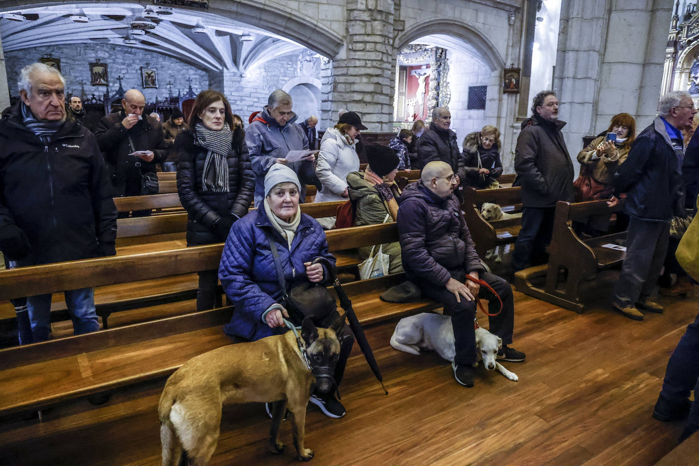 Fotos: La cerda Tomasa preside la rifa de San Antón