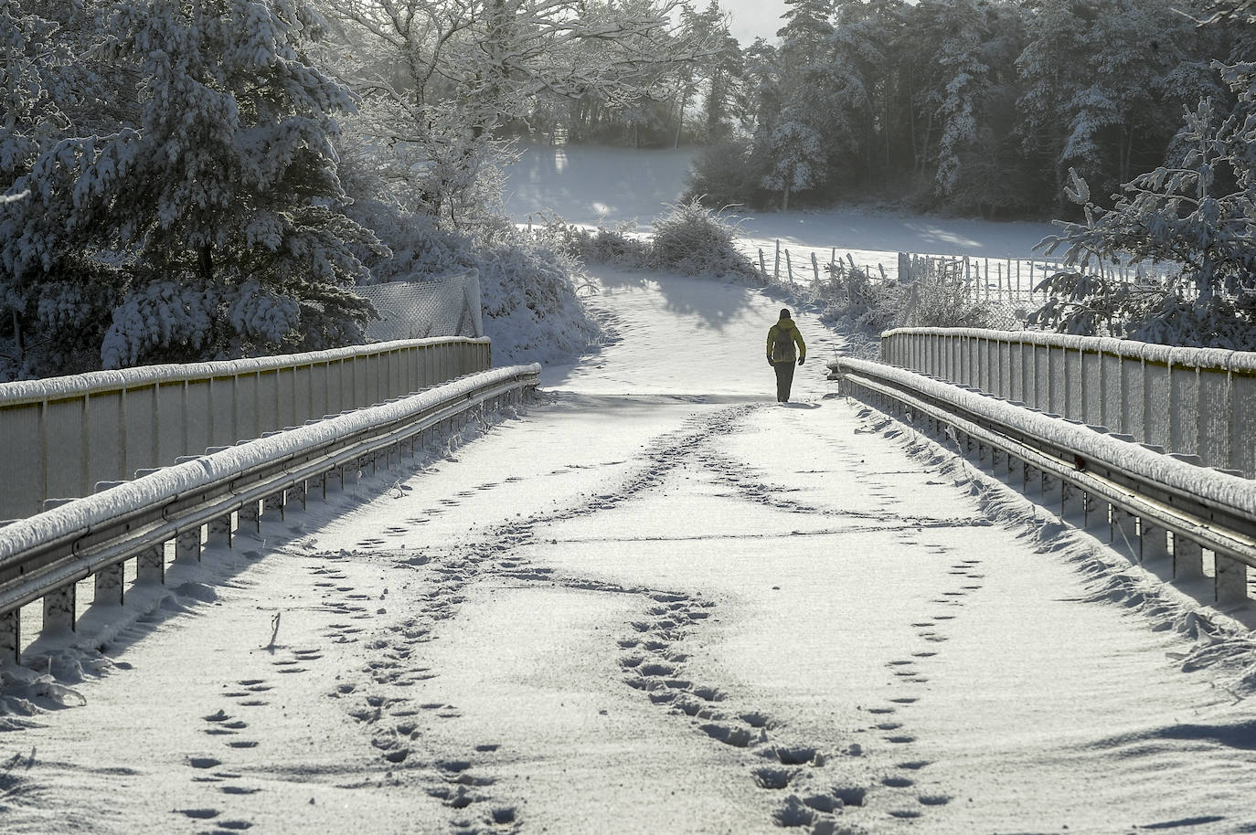 Fotos: Álava vive el primer temporal de nieve del invierno