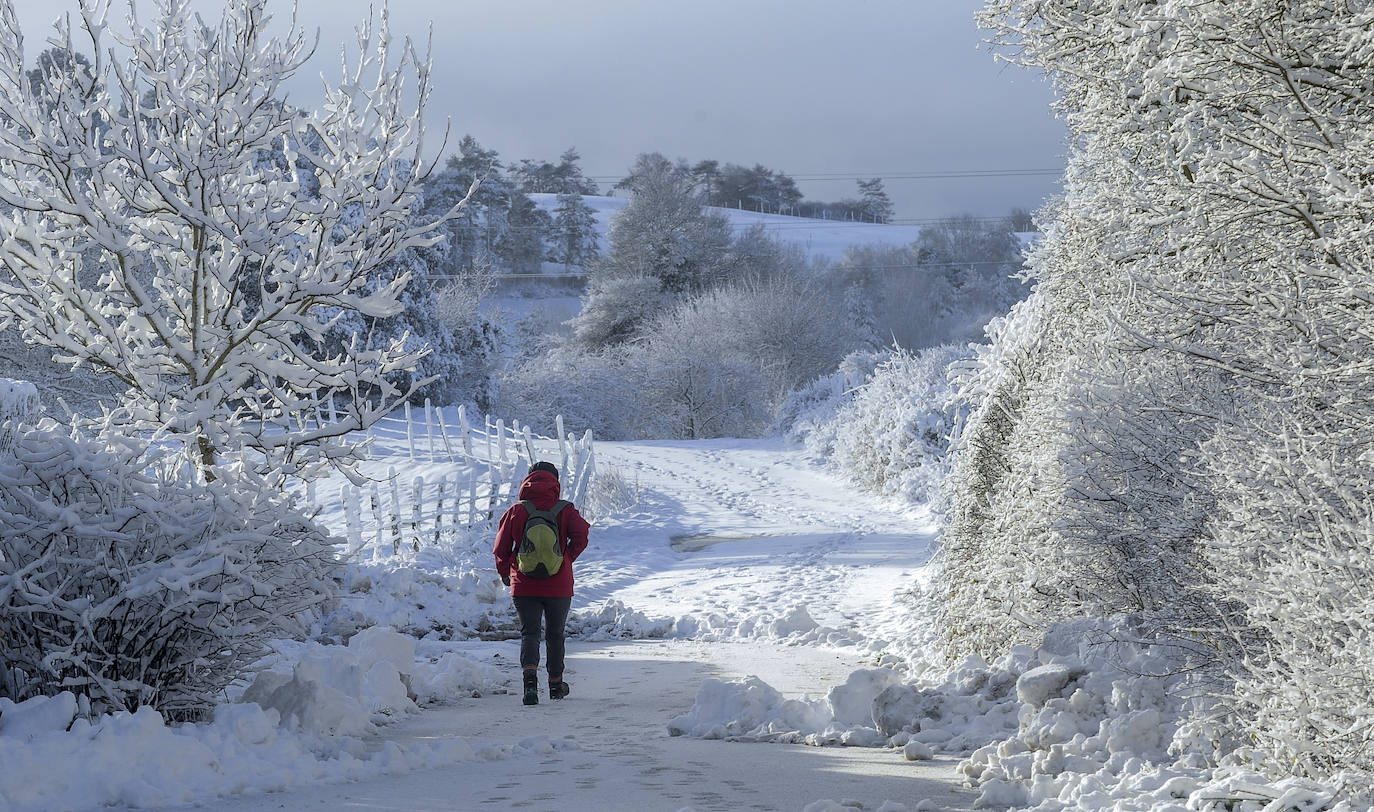 Fotos: Álava vive el primer temporal de nieve del invierno