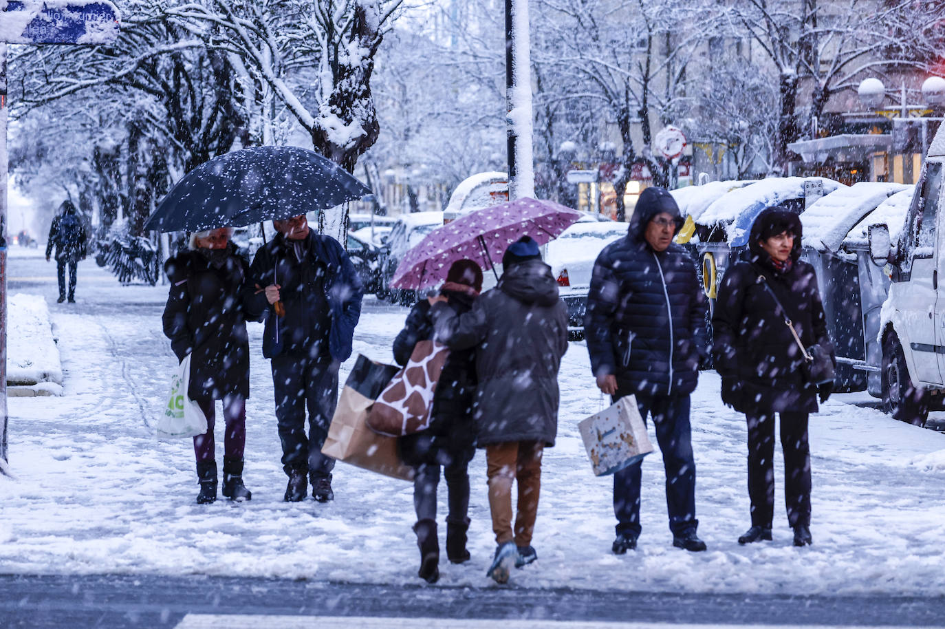 Fotos: Álava vive el primer temporal de nieve del invierno