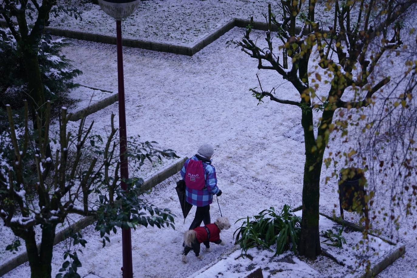 Una vecina de Ermua pasea con su perro sobre la capa de nieve.