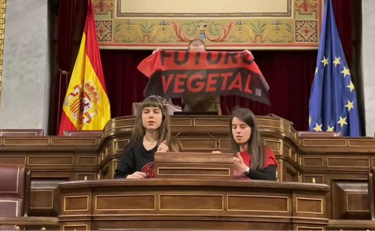 Los activistas que se pegaron a las majas de Goya ahora burlan la seguridad del Congreso