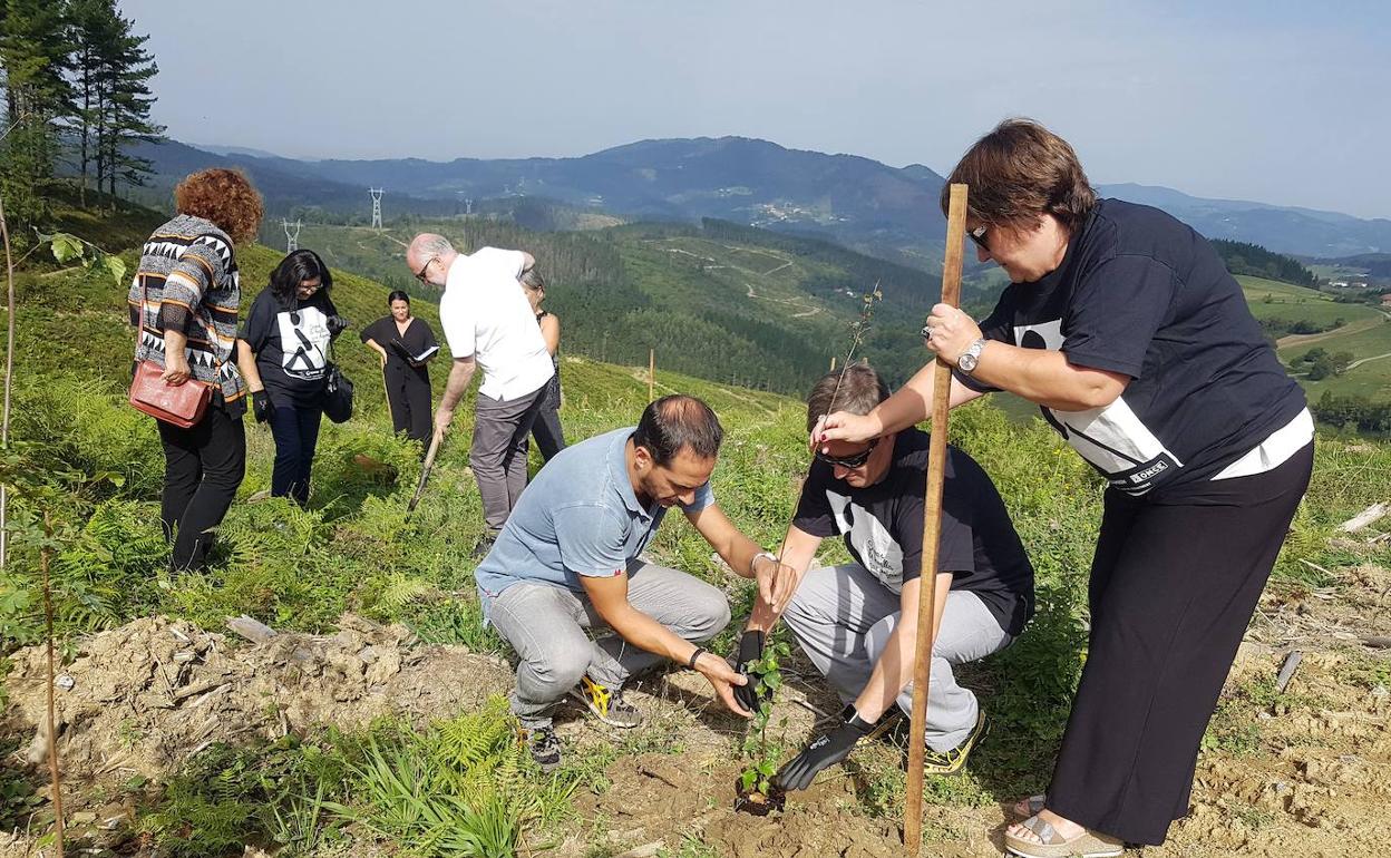 Una jornada de plantación de árboles promovida por la Fundación Lurgaia en el monte Undabaso de Muxika. 