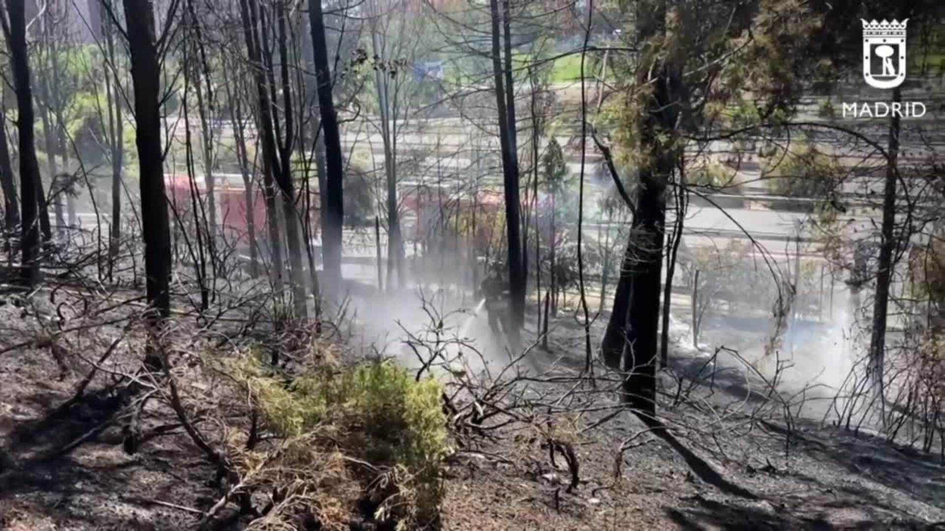 Extinguido Un Incendio De Pastos En Una Zona Arbolada En Madrid Junto A ...