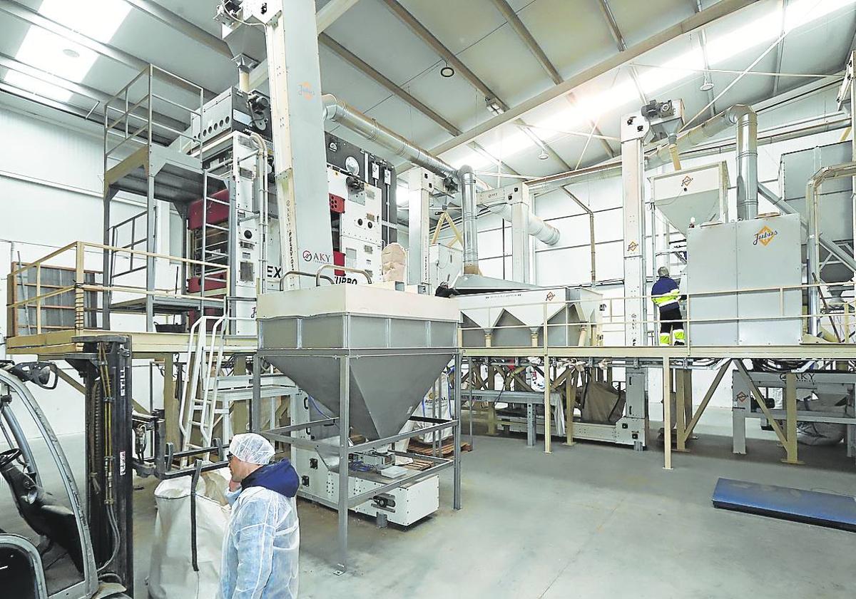 Interior de las instalaciones de la empresa instalada en el polígono de Ircio.