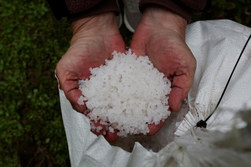 Los pellets iban en sacos de 25 kilos en un contenedor que cayó al mar desde un buque frente a la costa de Portugal.