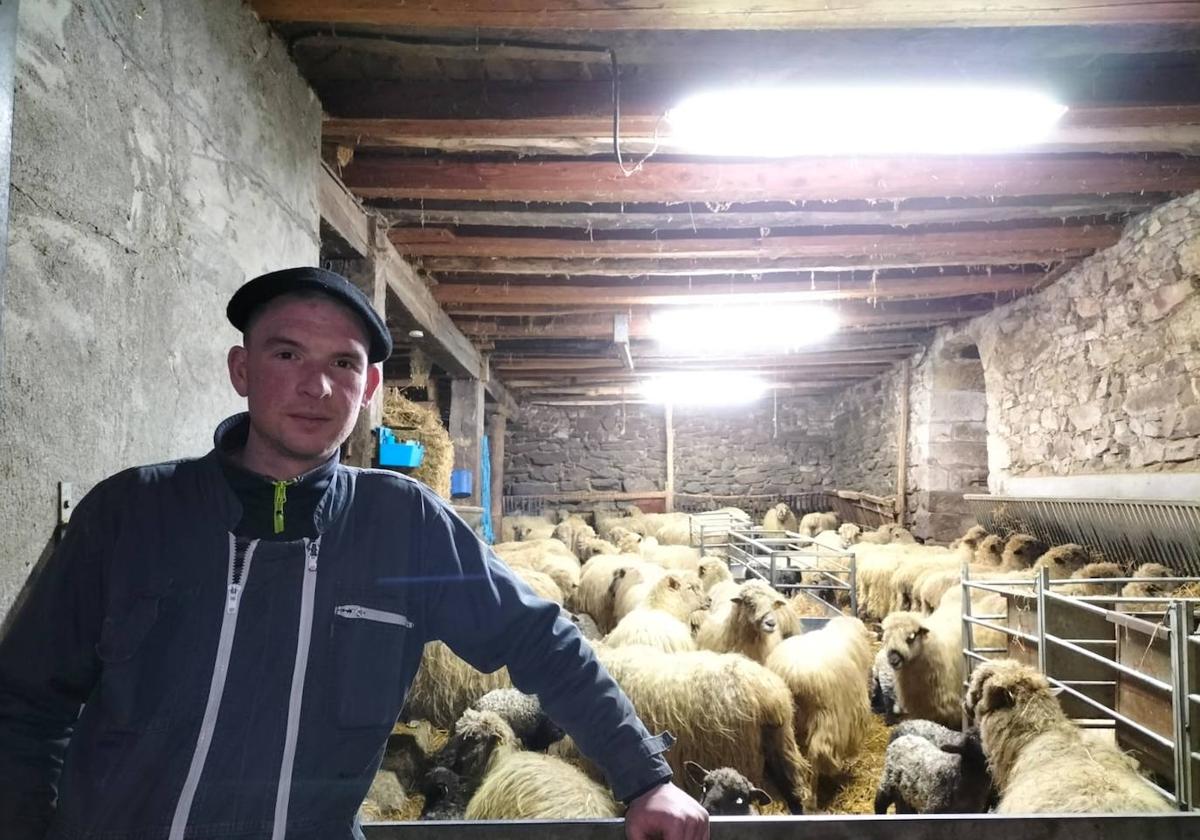 El pastor posa con sus centenares de ovejas en el caserío del barrio de Mendiola.